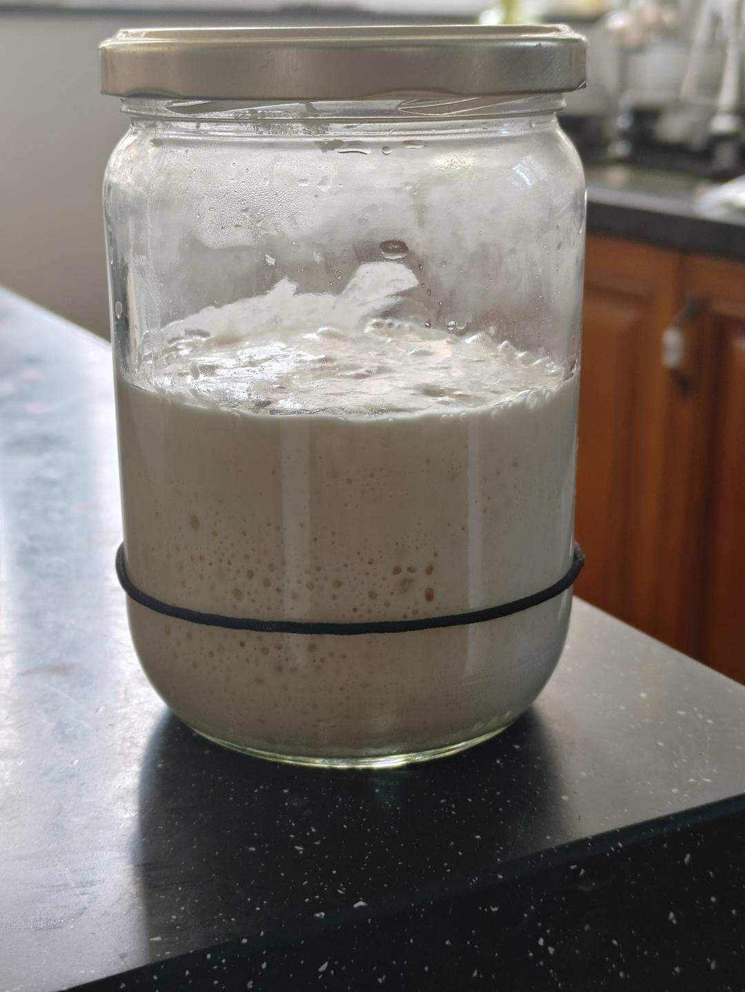小白的鲁邦液种喂养之路