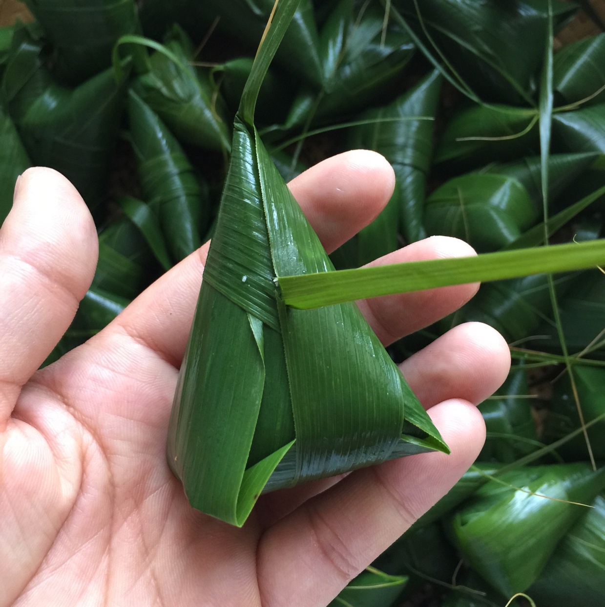 无绳粽子粽针粽子（视频）