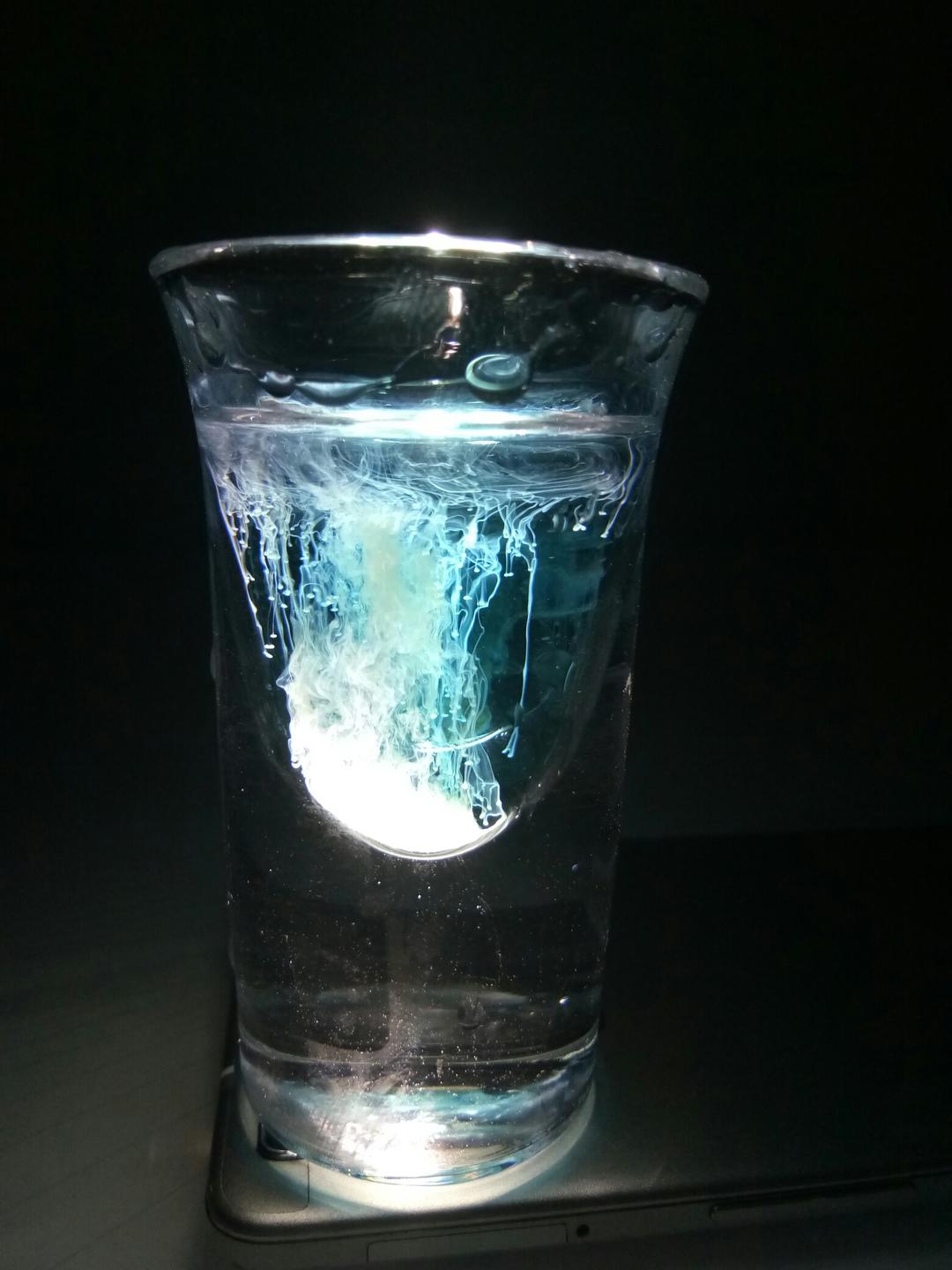 【鸡尾酒】水母