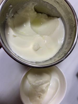 自制无糖脱脂酸奶，口感不输奶油冰淇淋/热量估算公式的做法 步骤8