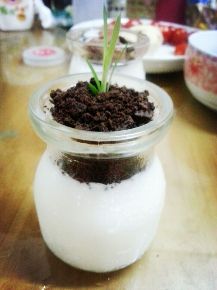 酸奶奥利奥水果盆栽