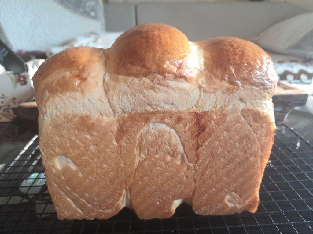 中种淡奶油吐司（冷藏发酵）