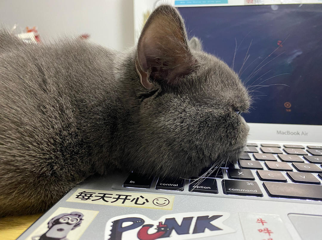 冰美式草莓火锅