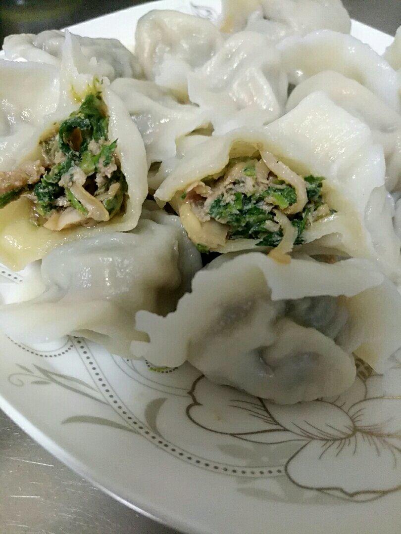 cherry的娘做的荠菜鲜肉饺子