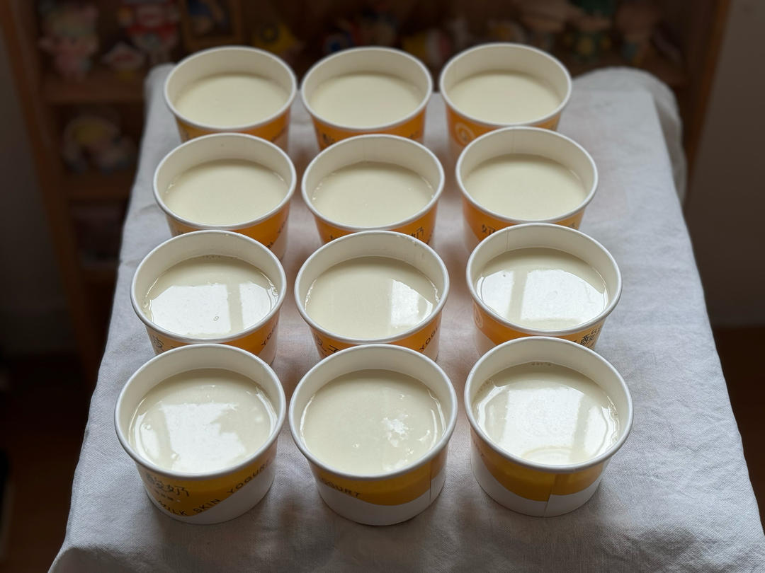 火爆全网的奶皮子酸奶零基础做法
