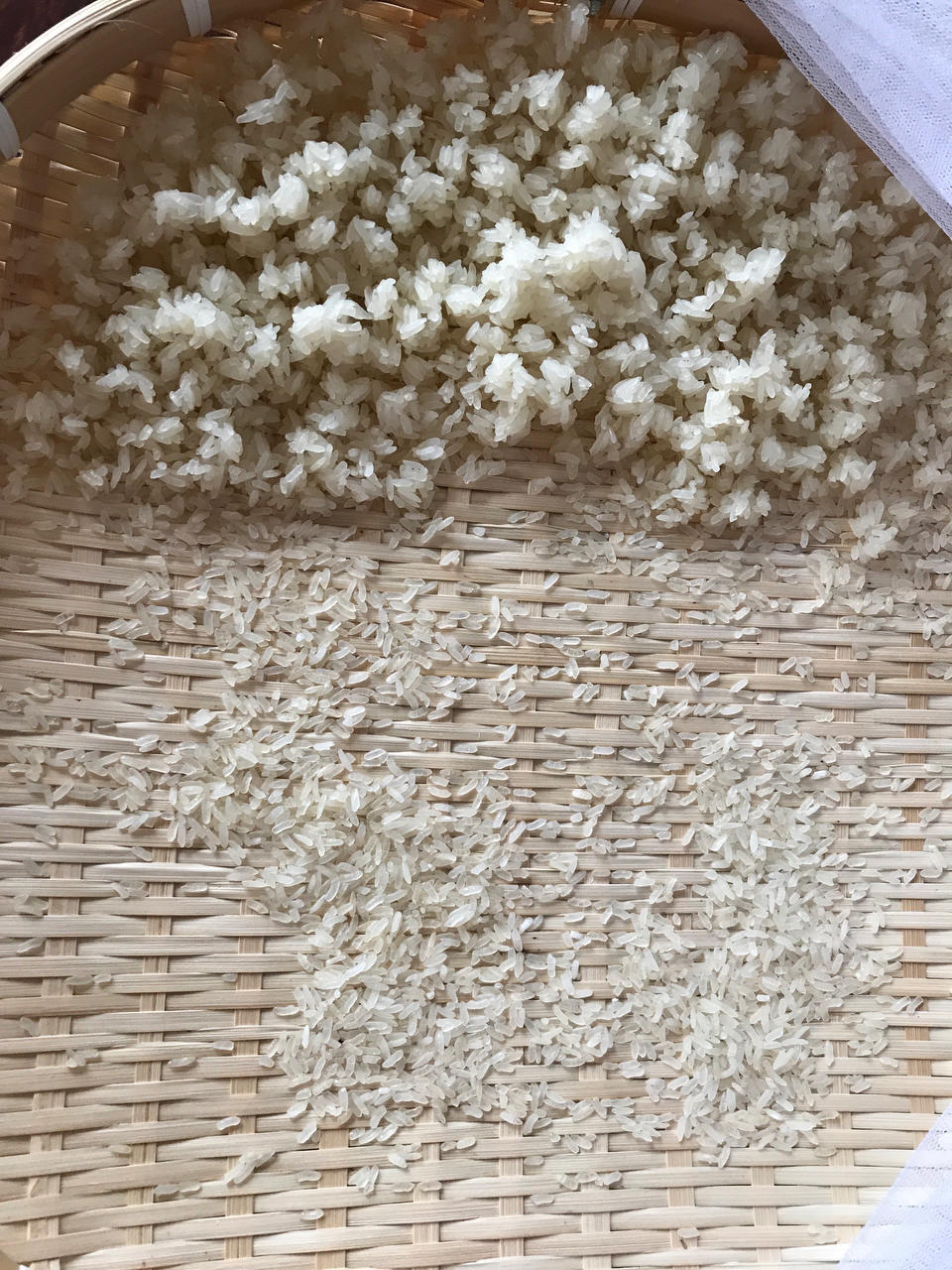 阴米