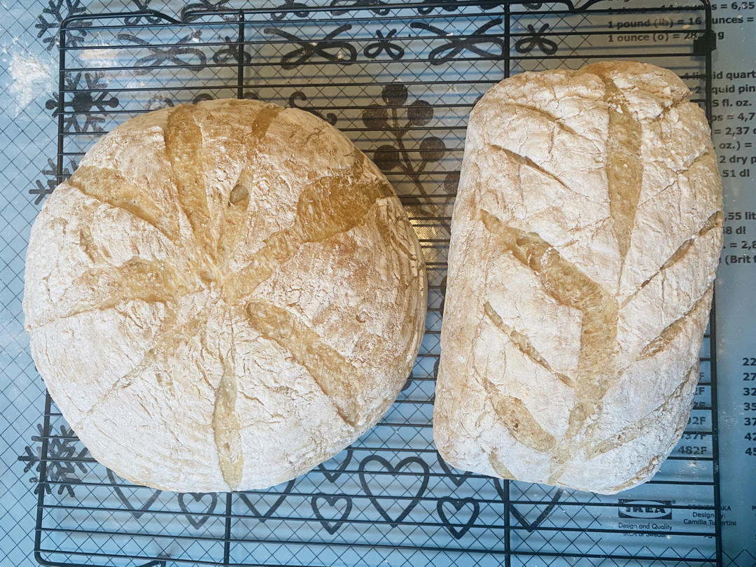 不可能减肥的欧包🥖（超简单！免揉！无油无糖）