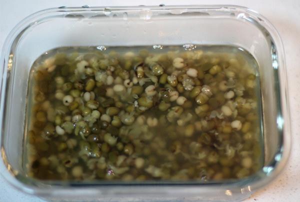 绿豆薏仁汤---三伏季的清凉饮品