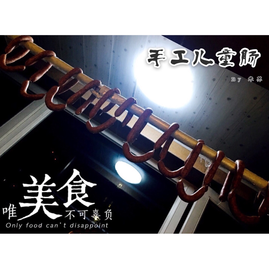 自制儿童肠