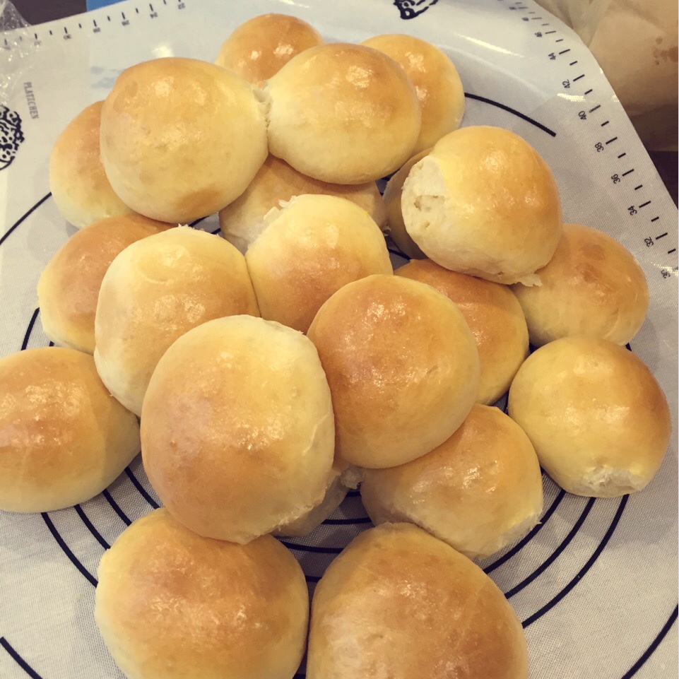 午餐•2016年7月15日