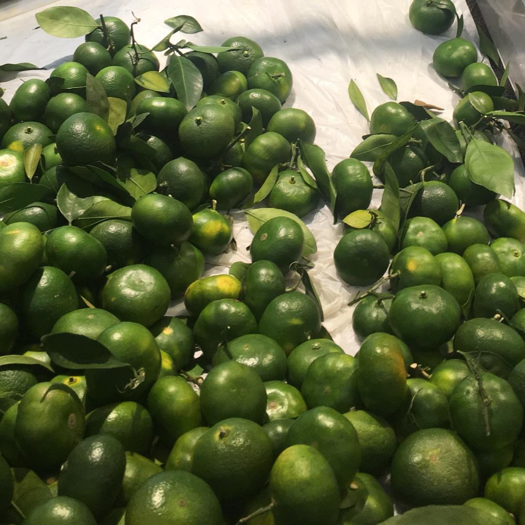 快乐每一天98765