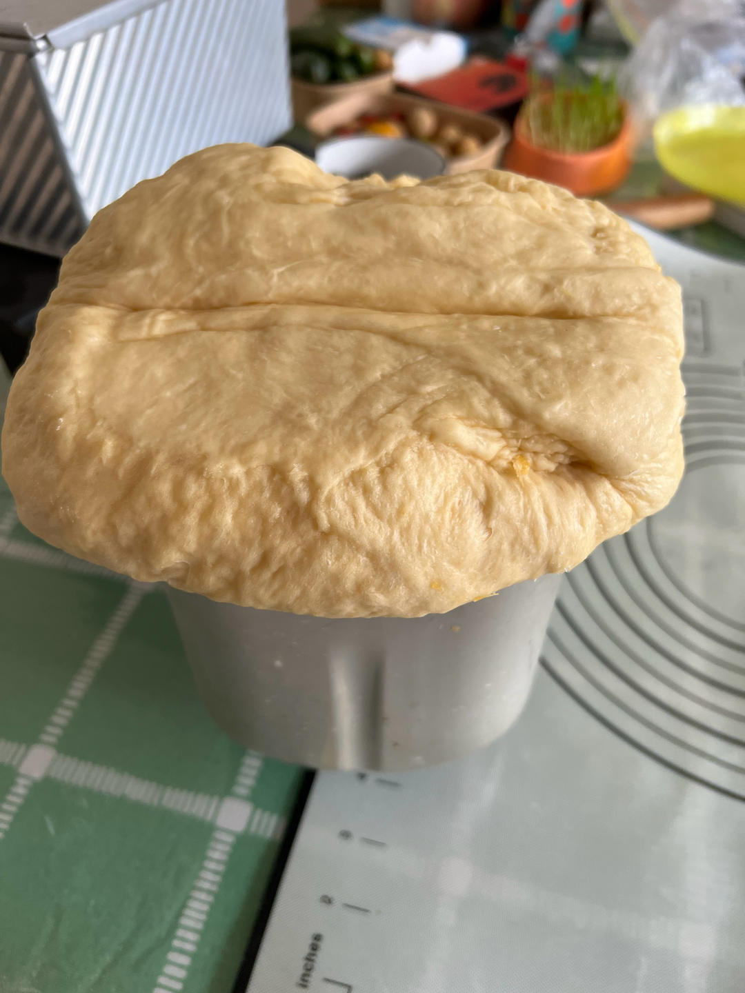 poolish（波兰种）软吐司