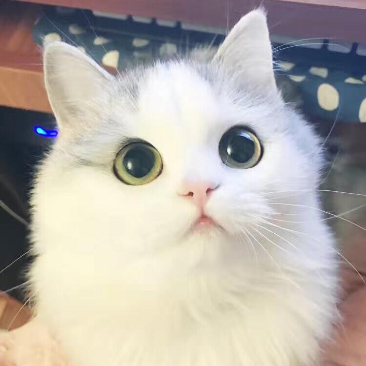 MoMoyu