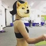 司马哎呀