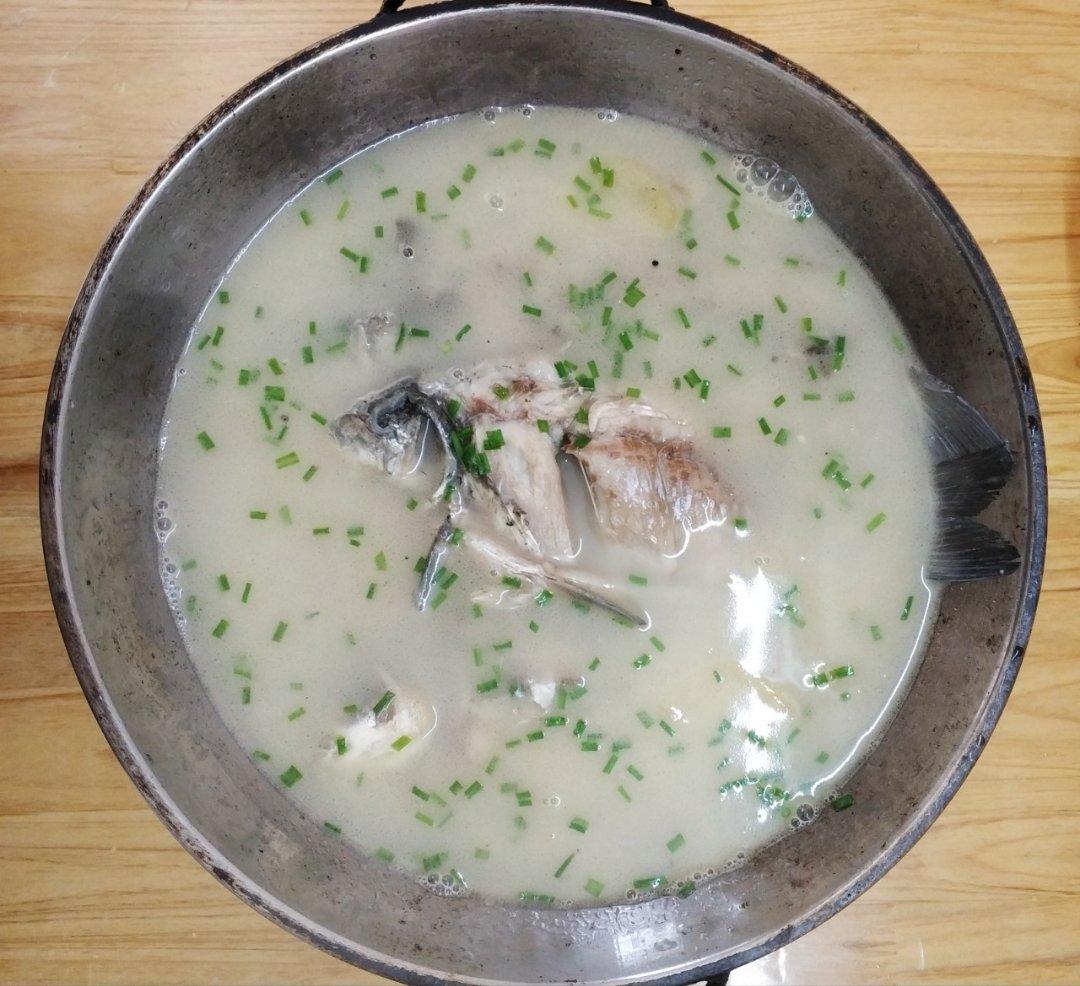 最好用的鲫鱼汤方子