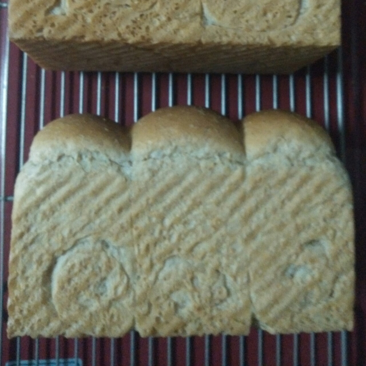 全麦吐司（中种）