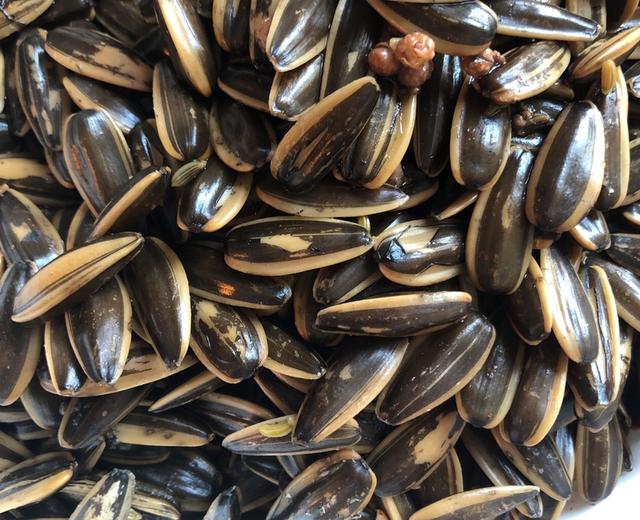 水煮瓜子 水煮瓜子