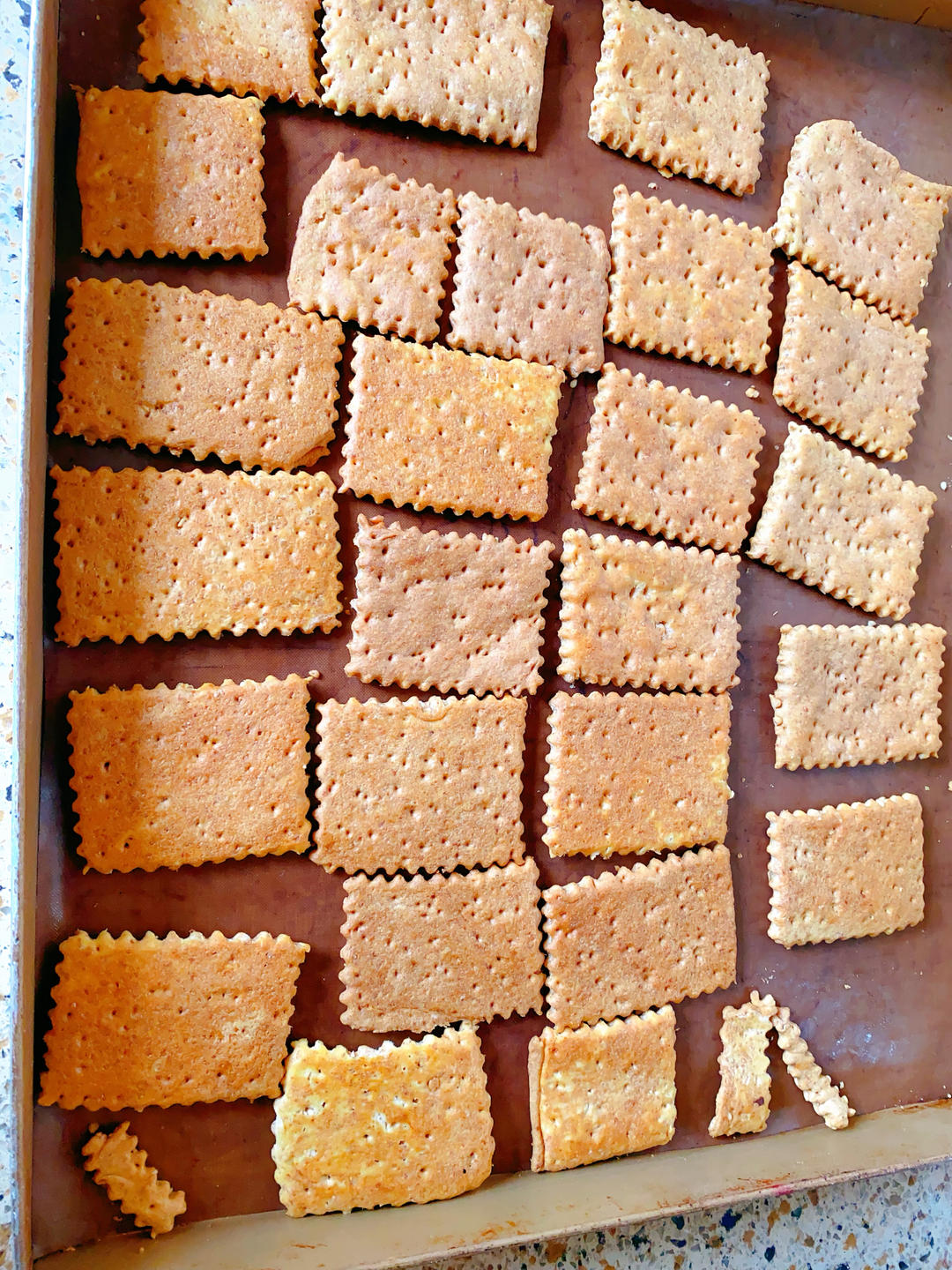 全麦无糖苏打饼干（梳打饼干）210413