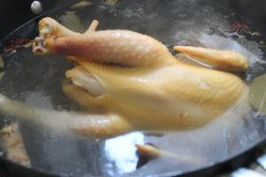 藤椒钵钵鸡的做法 步骤2