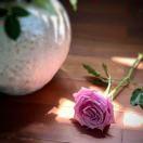 手机用户1268_ur3a