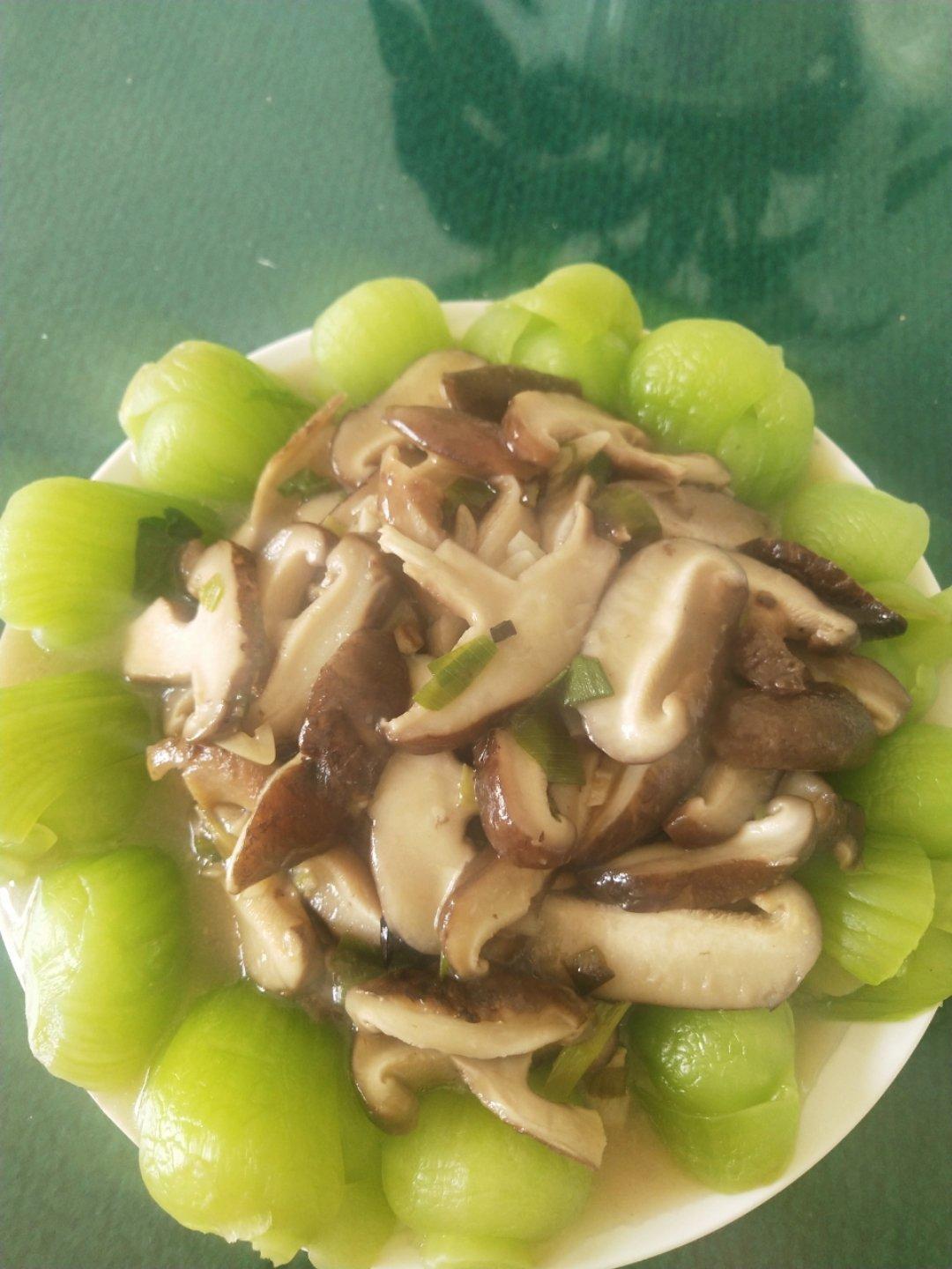 香菇油菜🥬