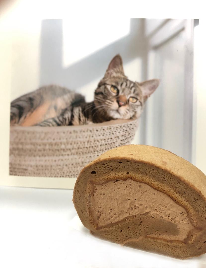 咸摩卡奶油卷/完美毛巾面技巧+回味无穷摩卡配方/烘焙视频蛋糕篇9「中卷」