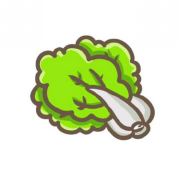 小猪儿不怕开水烫
