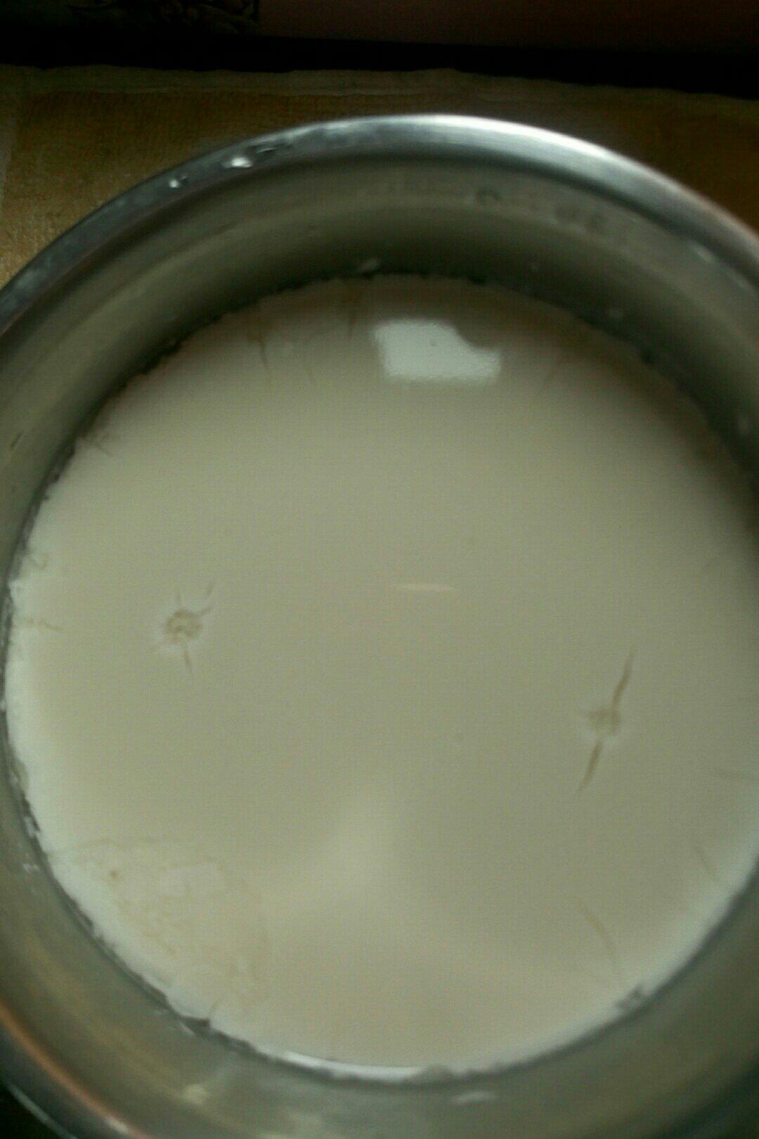 自制酸奶 德运奶粉酸奶