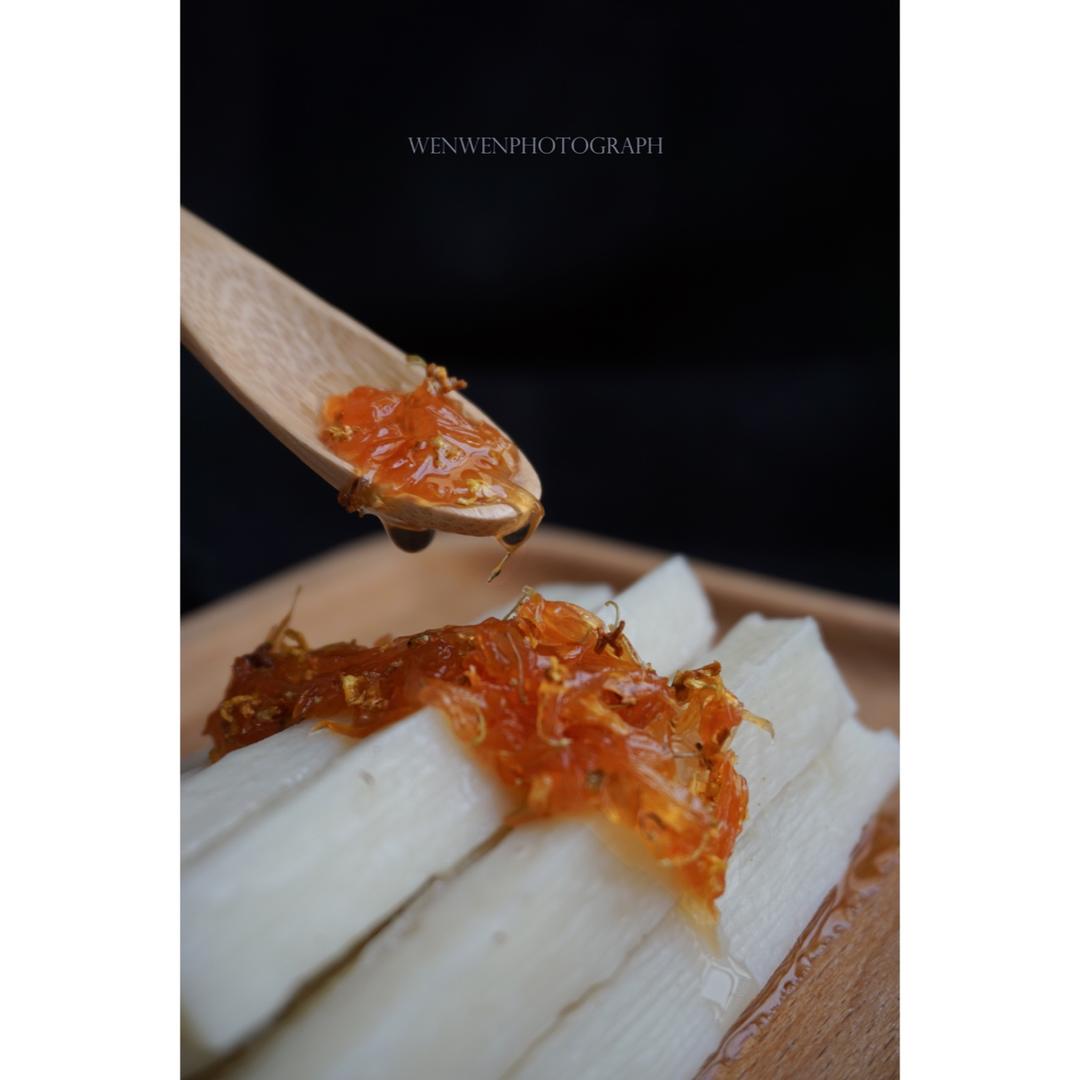 是日食光