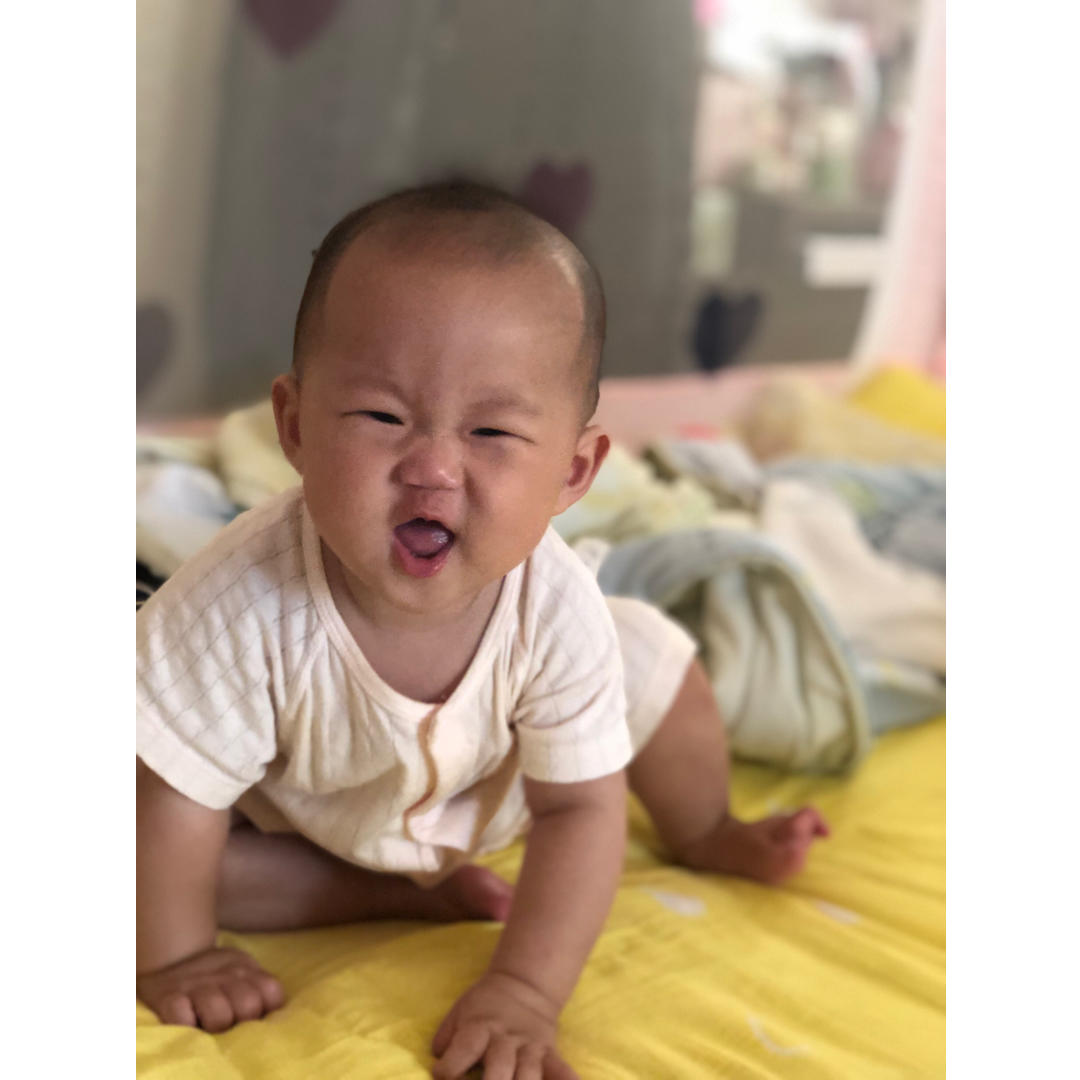 叮当贝比