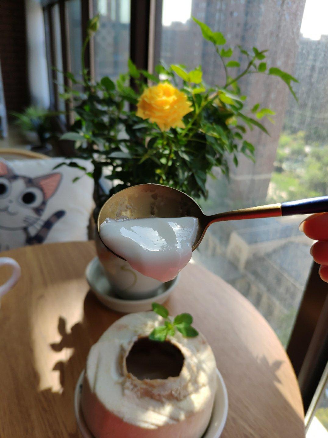 一整颗椰子冻