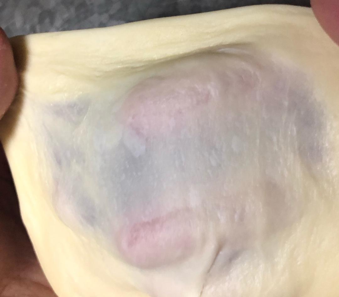 面包十五分钟手套膜及拉丝秘笈(附七岁儿童终极版)