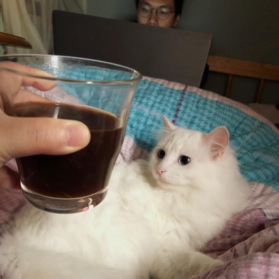 哥本哈根减肥食谱