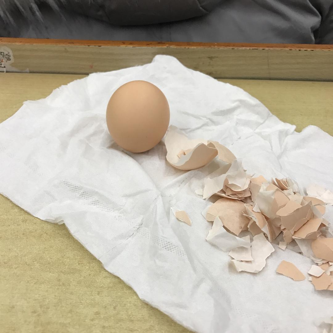 电饭锅不用水煮鸡蛋