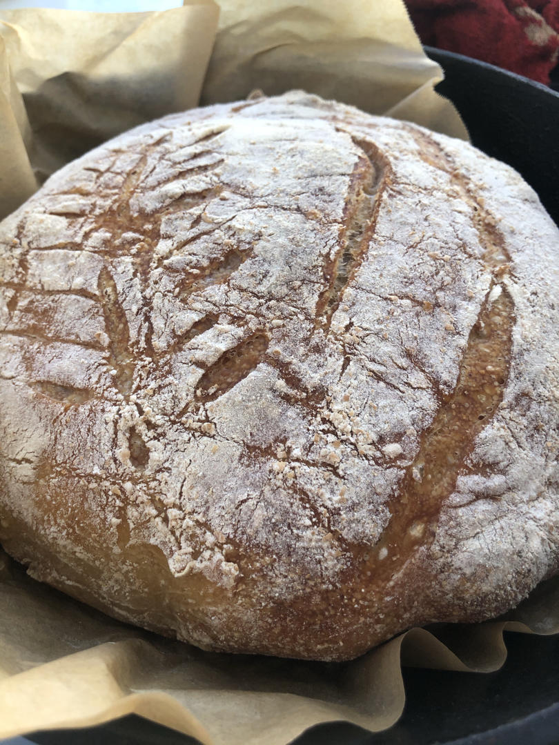 天然酵种鲁邦种硬欧包Sourdough Bread