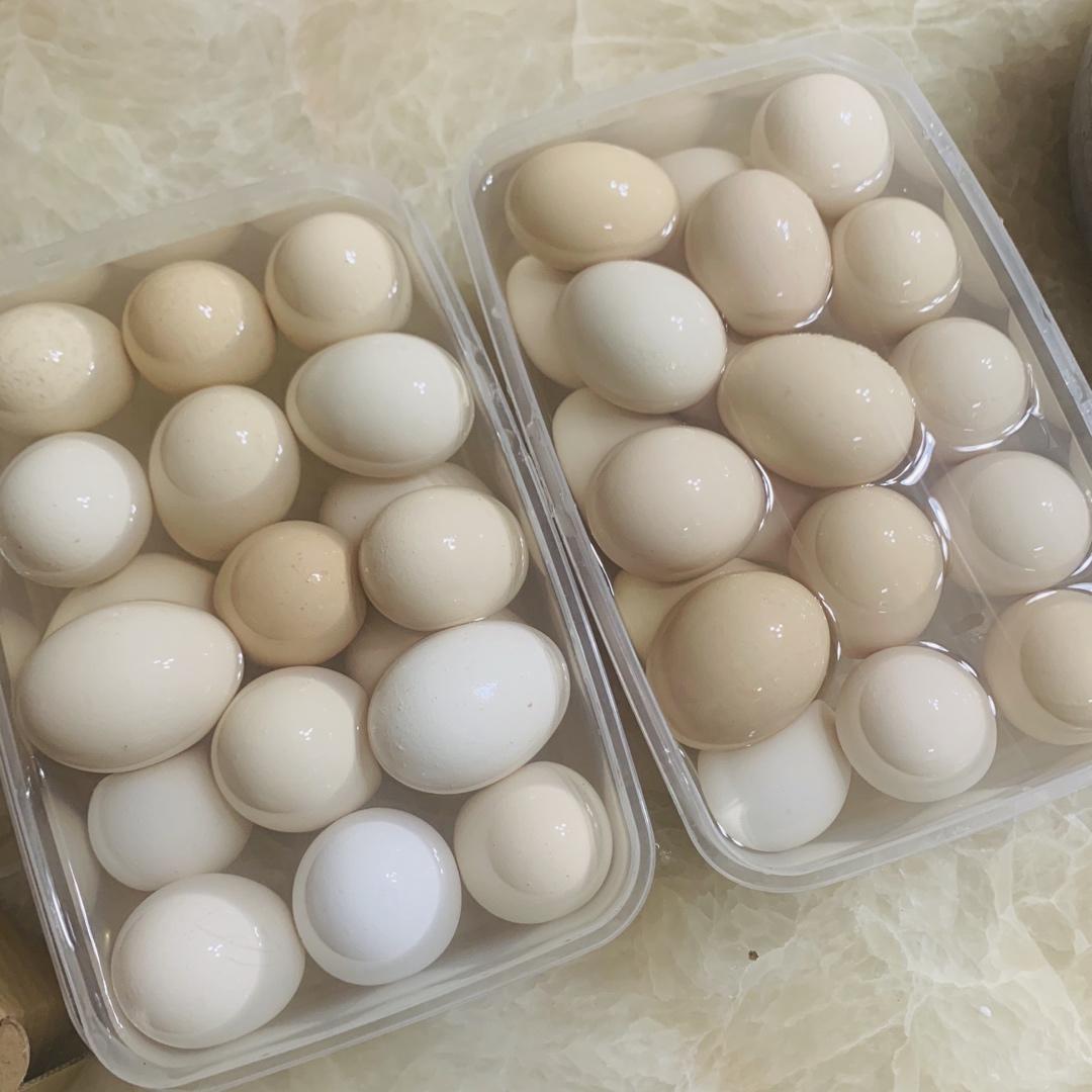 咸鸭蛋（鸡蛋）