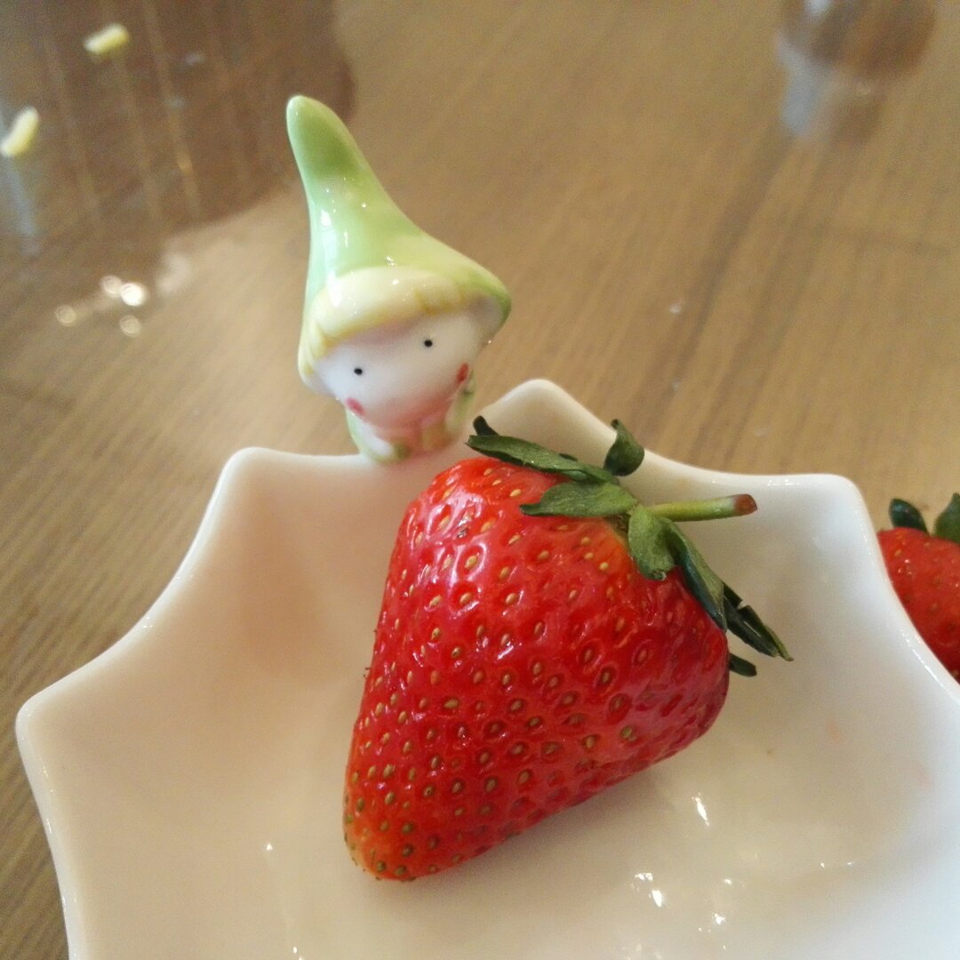 野蘑菇