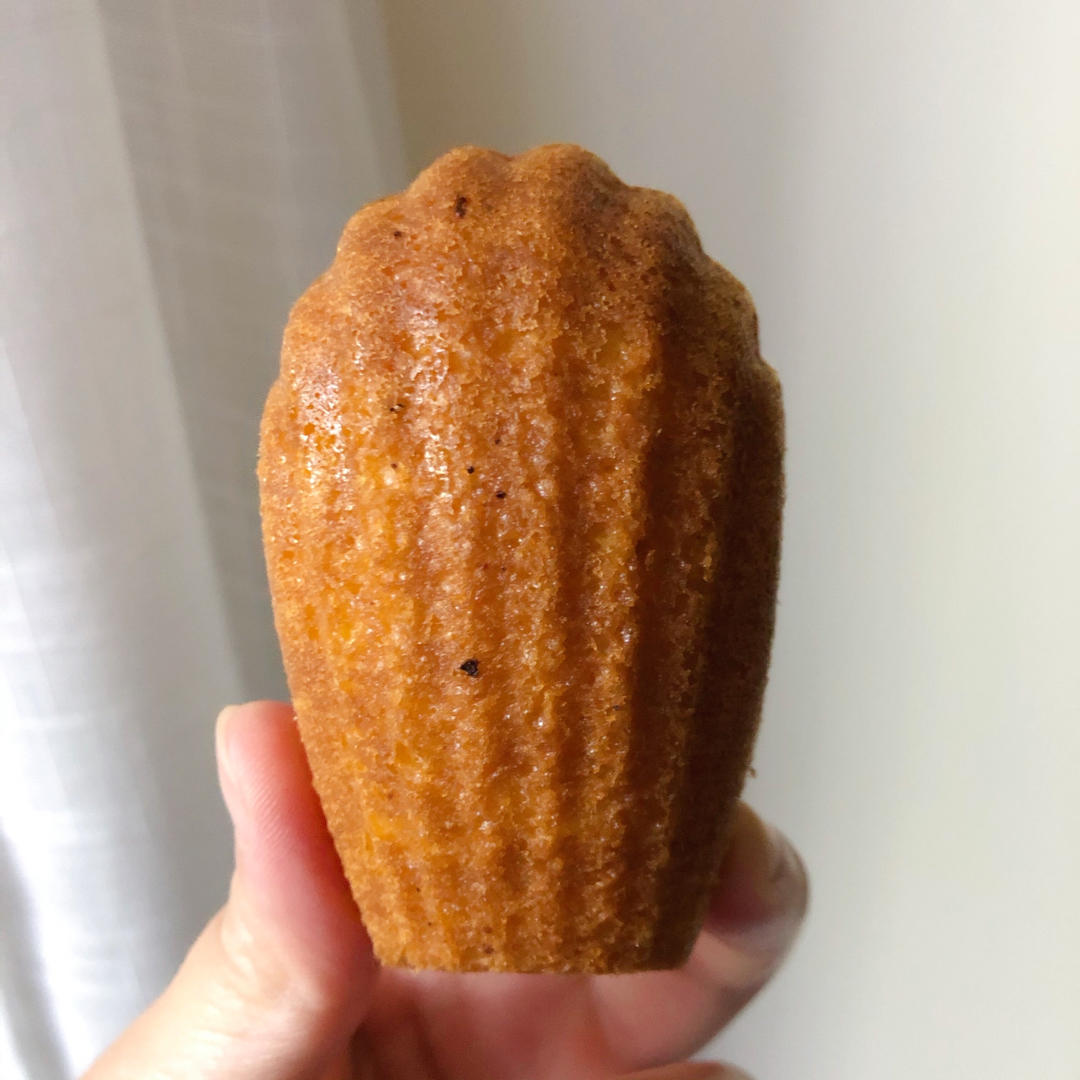 香橙玛德琳