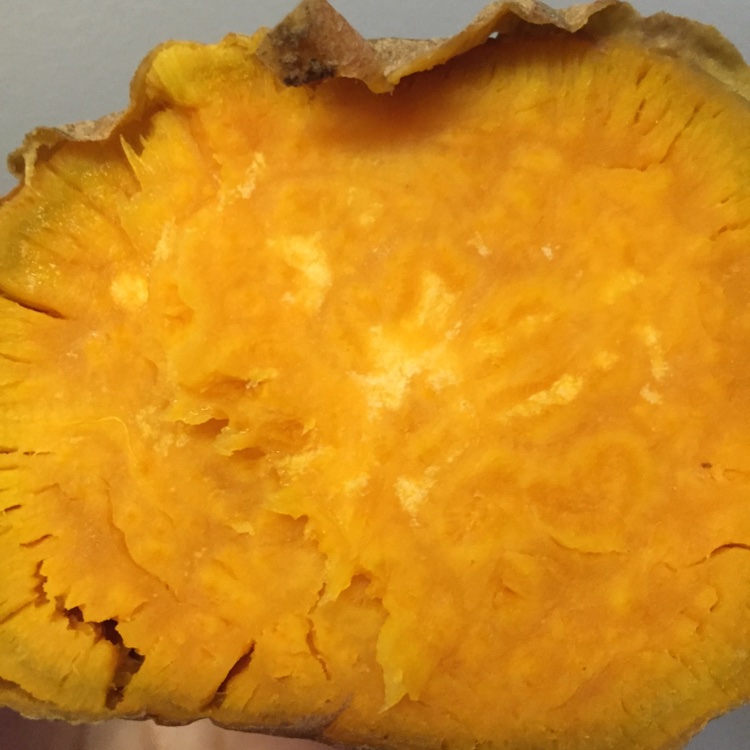 十分钟微波炉红薯