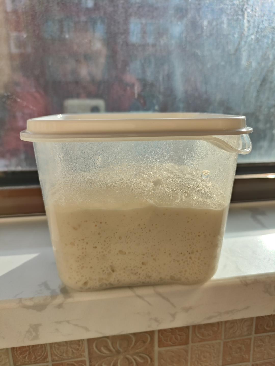 自制老面