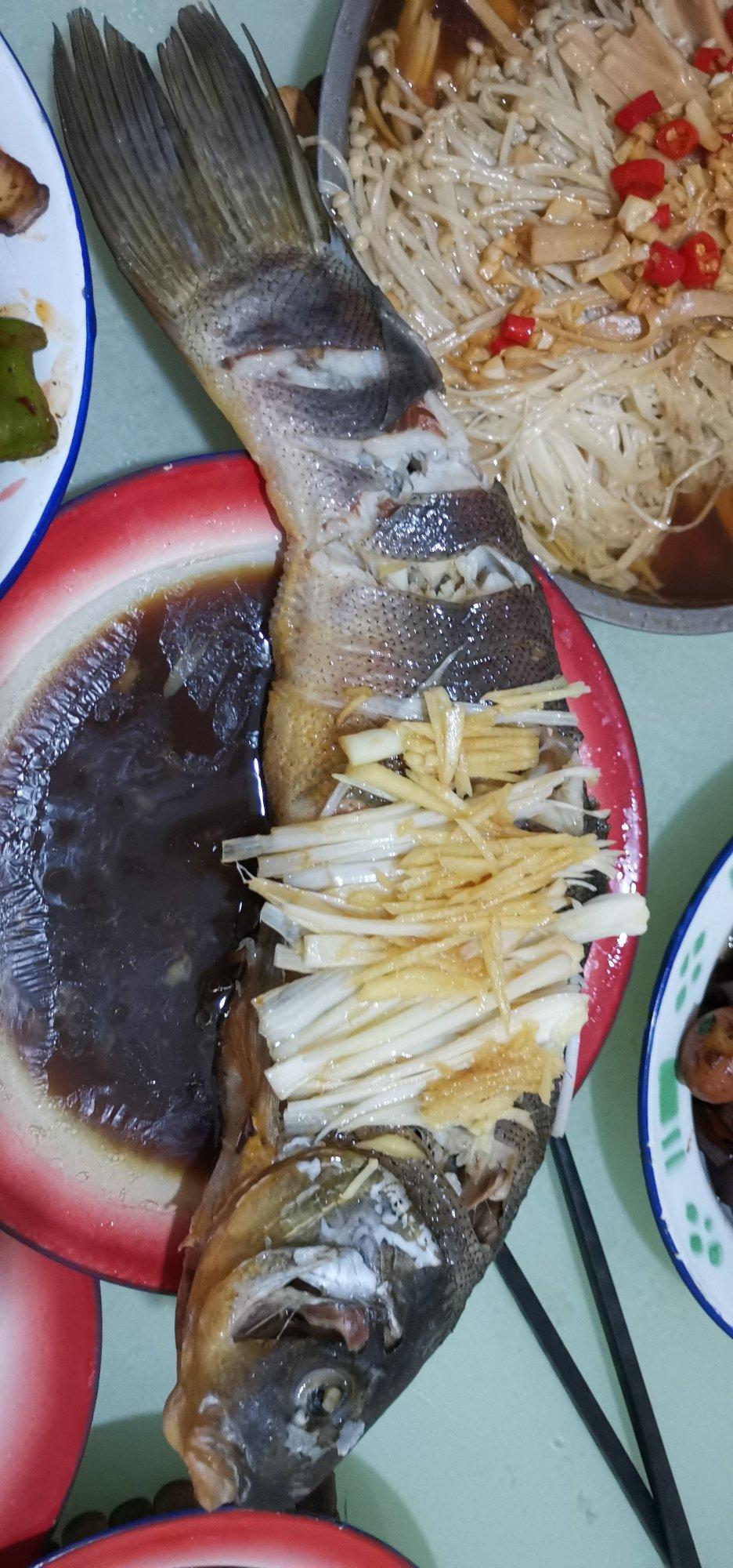 新手零失败的清蒸鲈鱼