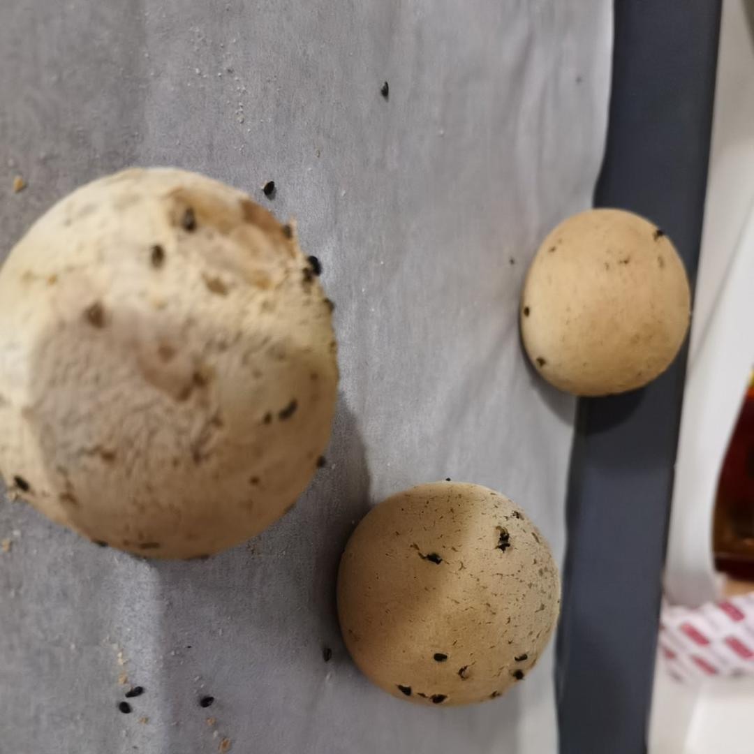 恐龙蛋·麻薯面包·麻薯包 自己做了1000➕的私人配方