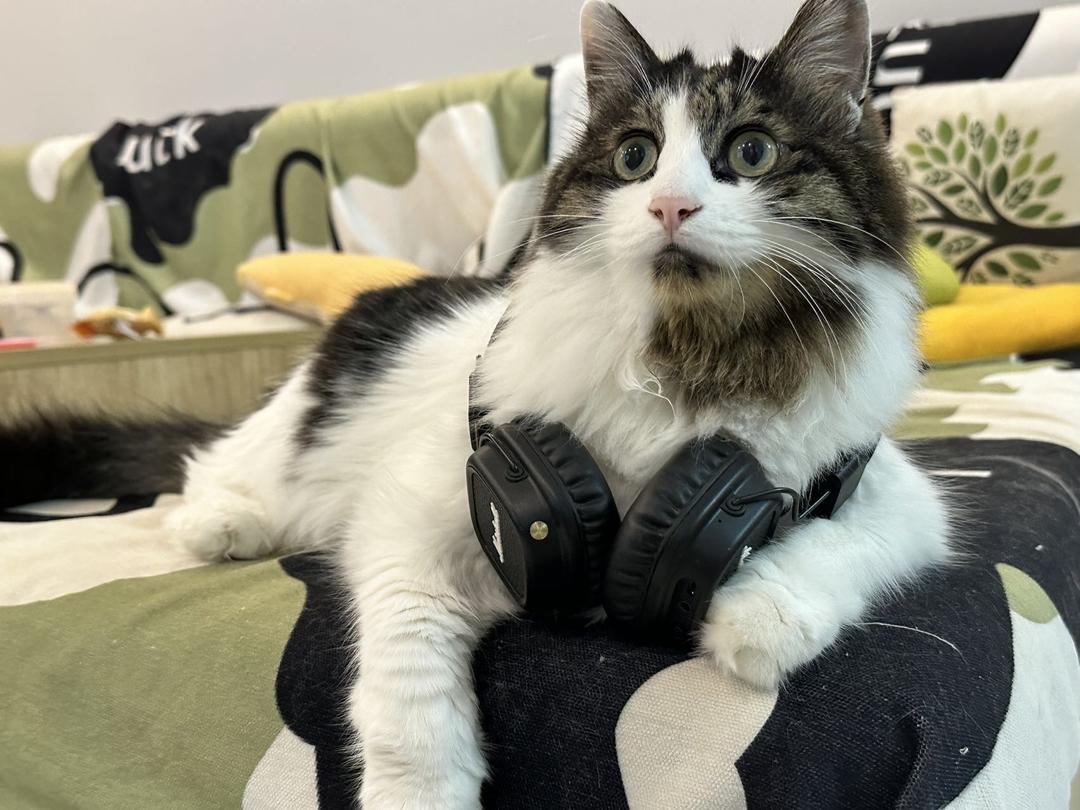 好菜单都来收藏夹吃灰