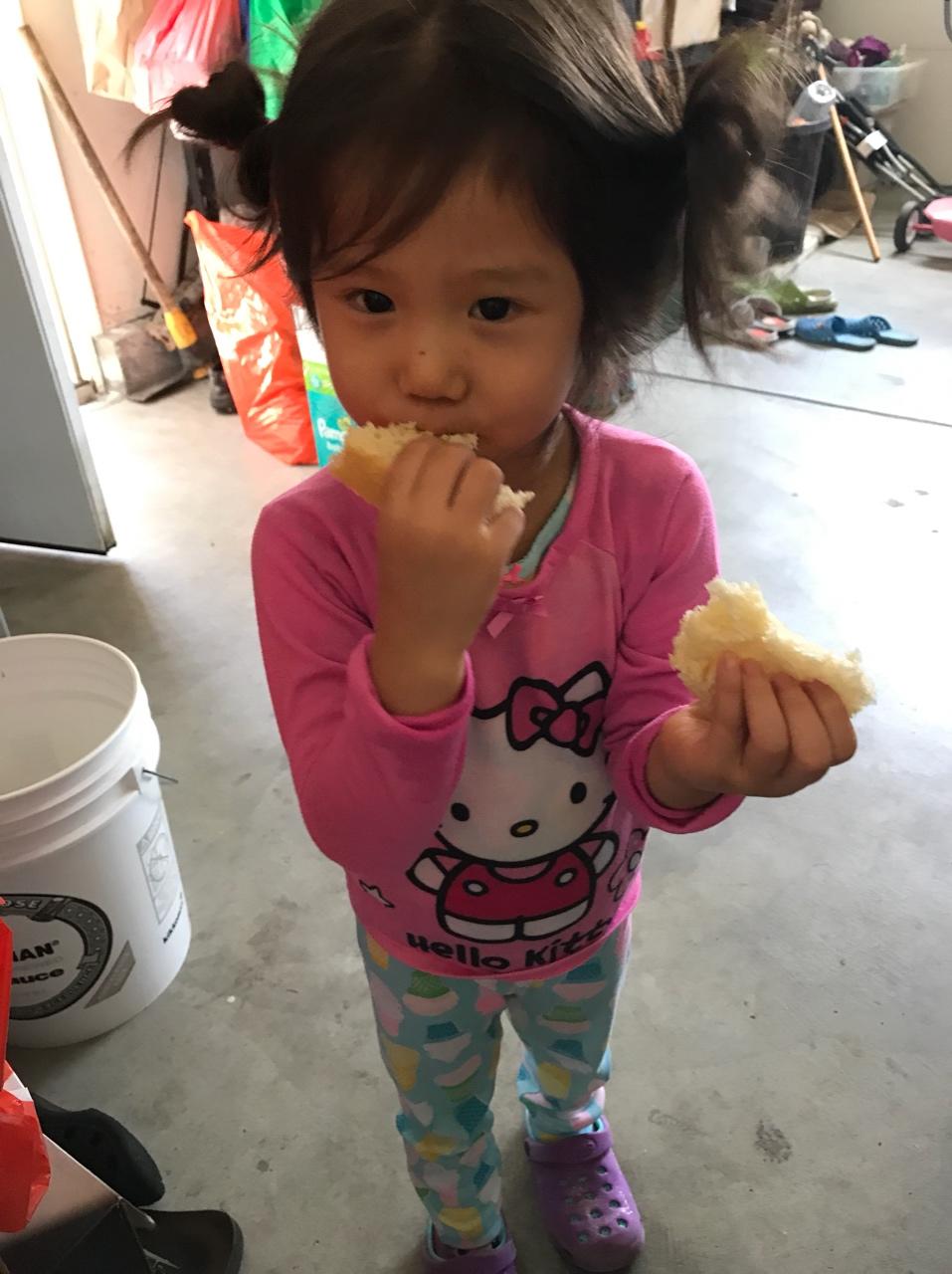 夺命软吐司(๑´ڡ`๑)超软拉丝极速方便的一次发酵吐司