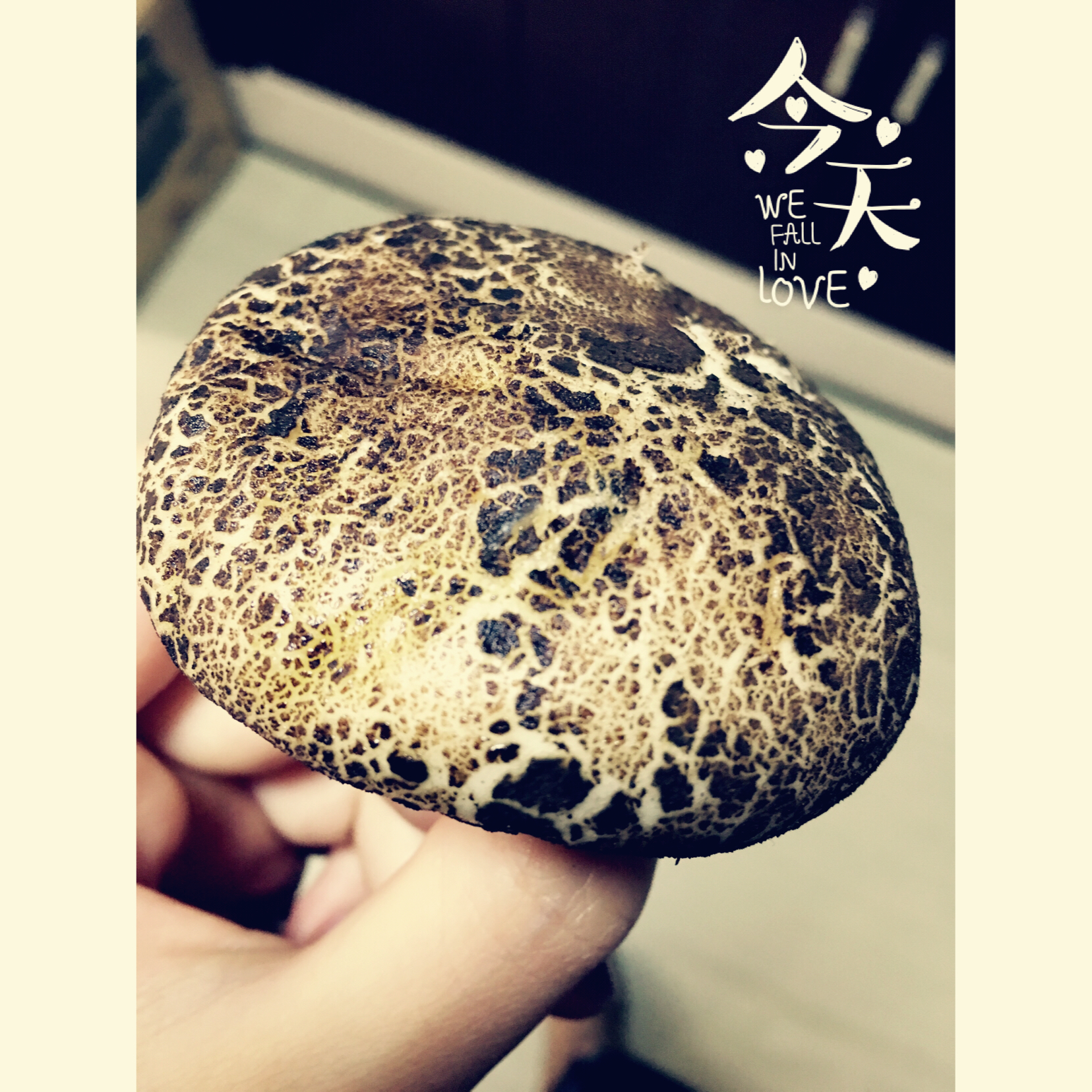 蘑菇包（叉烧馅）