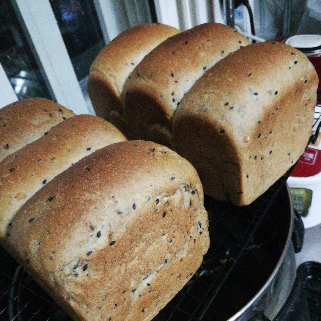 西川功晃- 黑芝麻土司