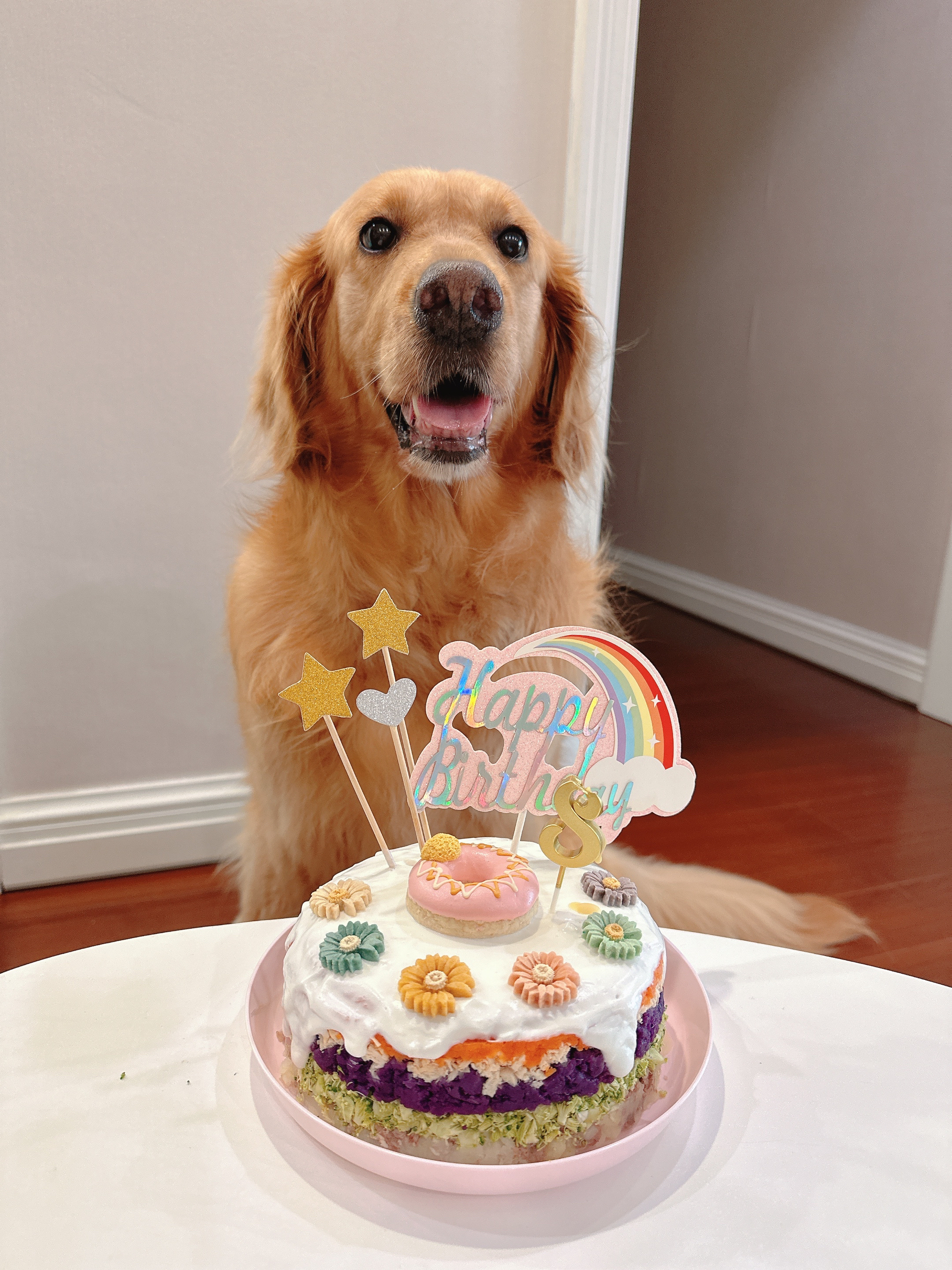 完全无添加的狗狗（宠物）生日蛋糕
