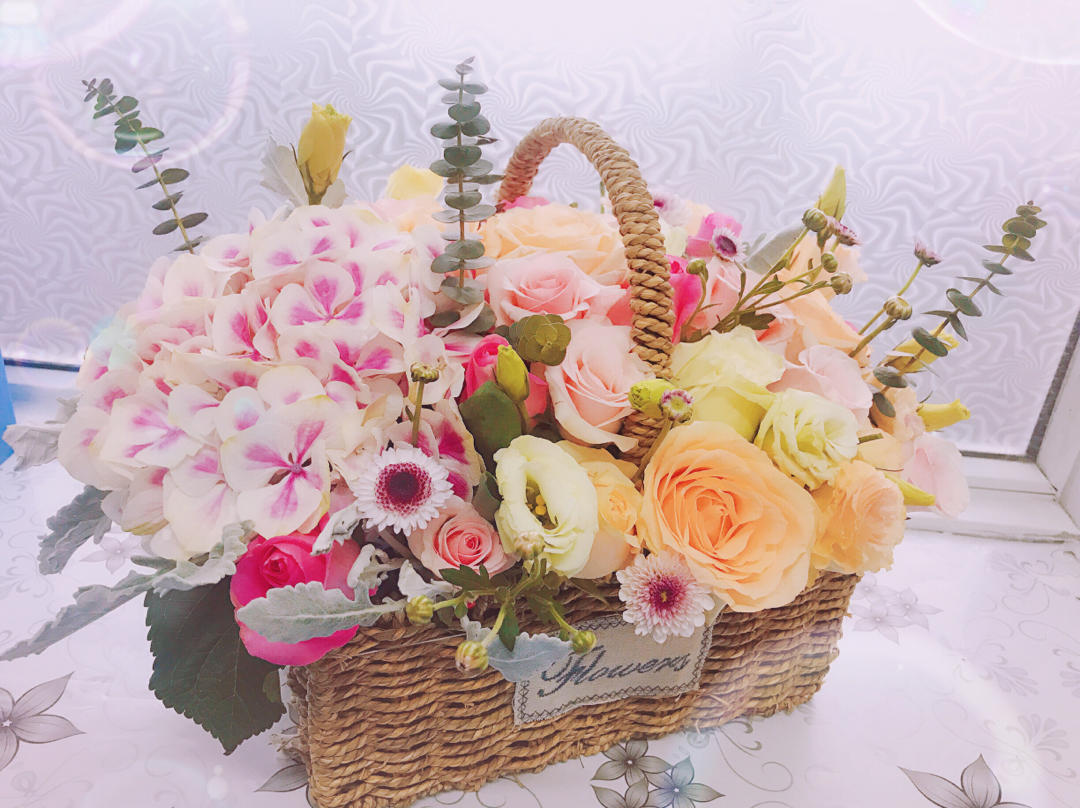 木槿花平