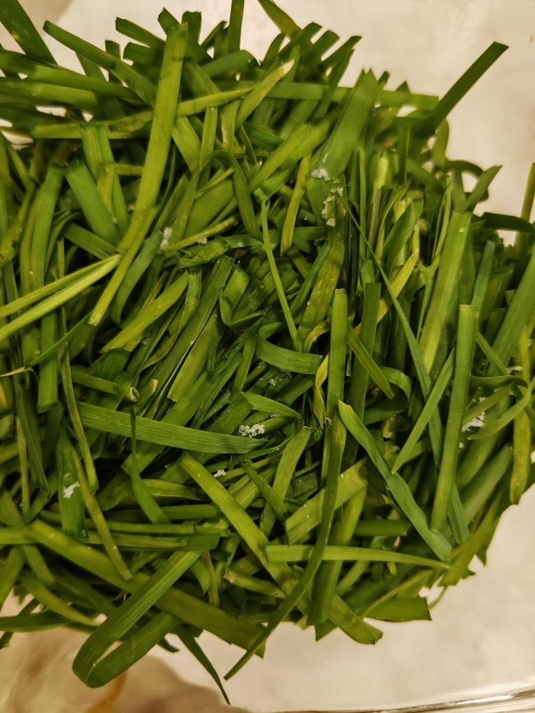 腌菜中的战斗机（下饭神菜）