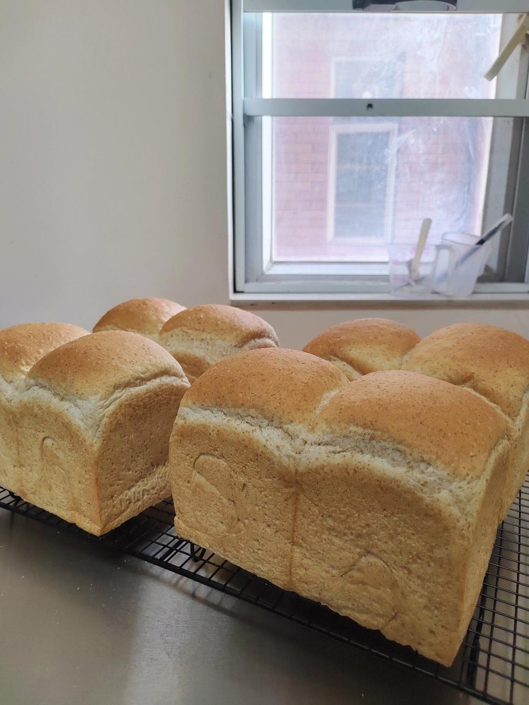 40%全麦液种吐司